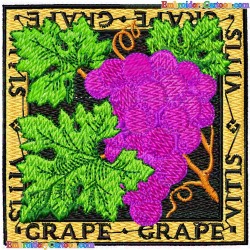 Grapes 29 Embroidery Design