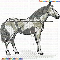 Horses 195 Embroidery Design