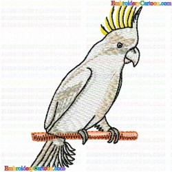 Parrots 16 Embroidery Design