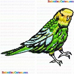 Parrots 50 Embroidery Design