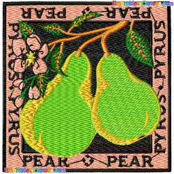 Pear 13 Embroidery Design