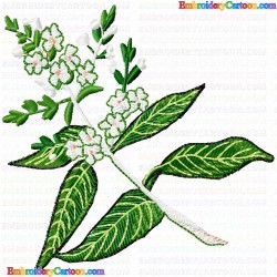 Plants 17 Embroidery Design