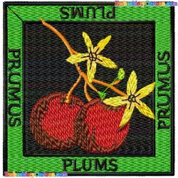 Plums 2 Embroidery Design