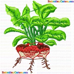 Radish 6 Embroidery Design