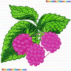 Raspberry 1 Embroidery Design