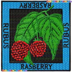 Raspberry 5 Embroidery Design