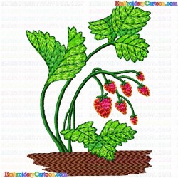 Strawberry 34 Embroidery Design