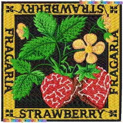 Strawberry 39 Embroidery Design