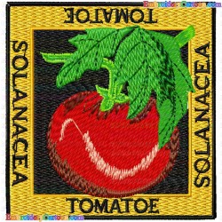 Tomato 10 Embroidery Design