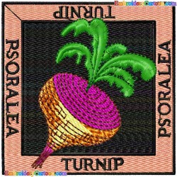 Turnip 1 Embroidery Design